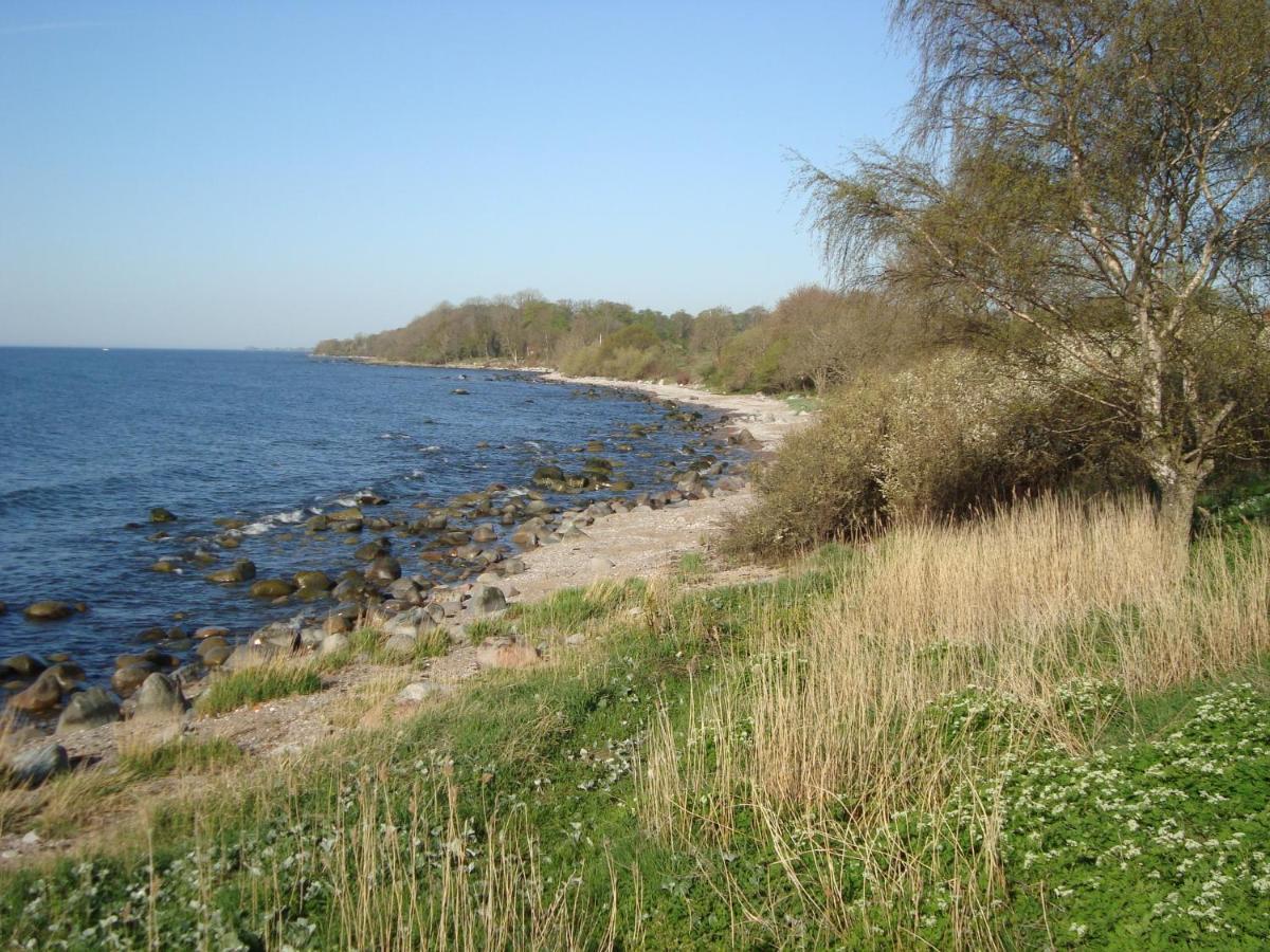 Vila Guest Cottege Ystad Exteriér fotografie